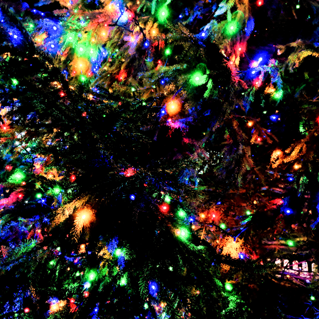 murpworks Christmas Nebula image